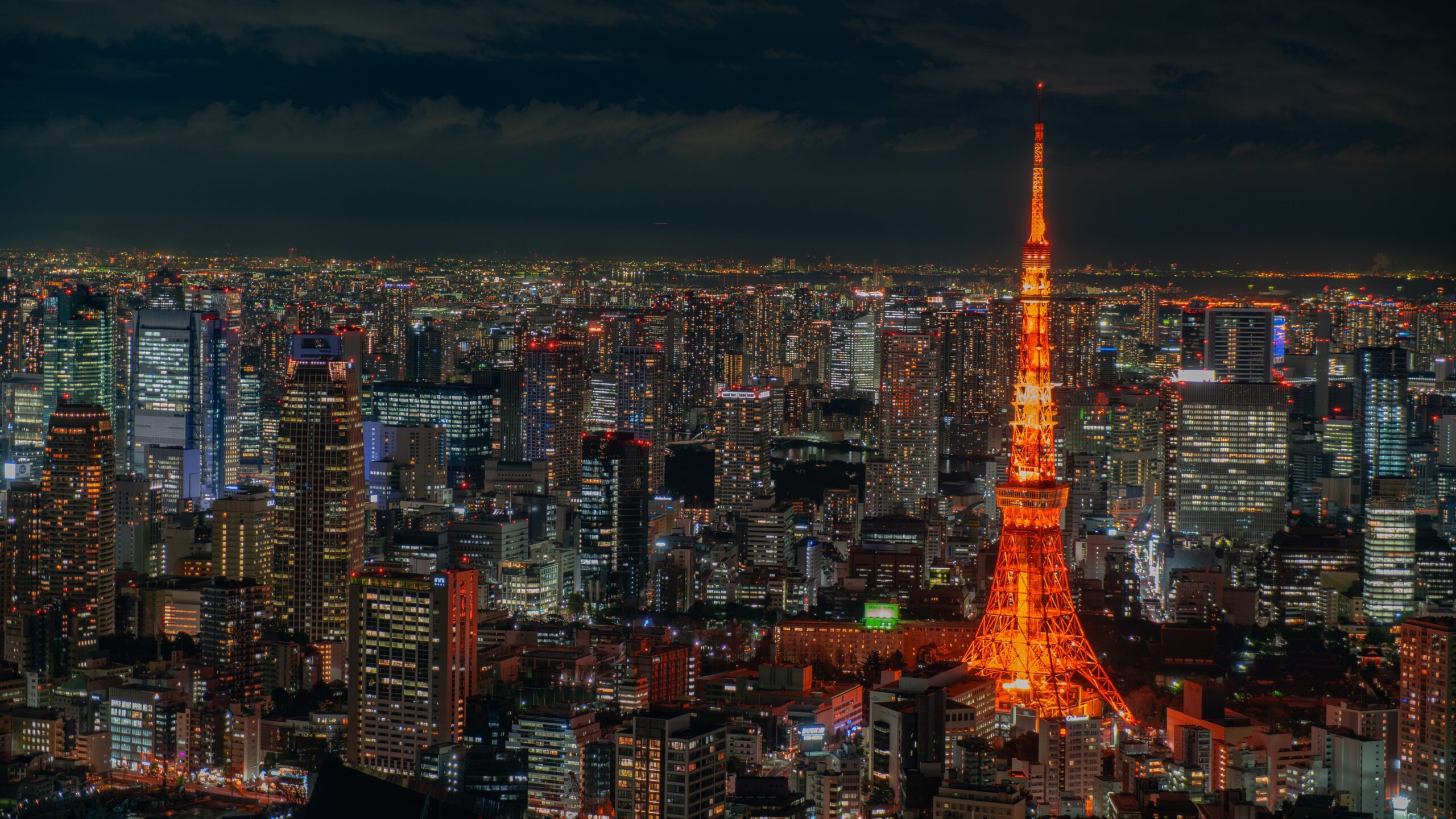 Tokyo Japan from an Ariel View